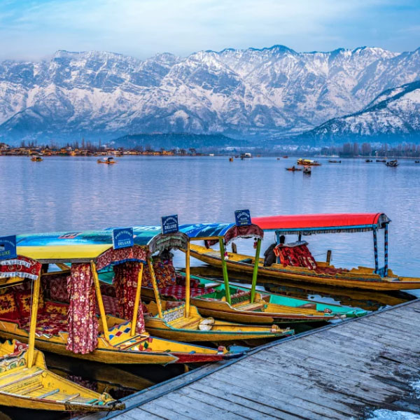 kashmir